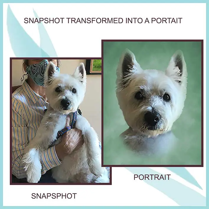 Snapshot Tranformed Into a Portrait